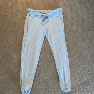 Lululemon Light Gray Jogger Pants